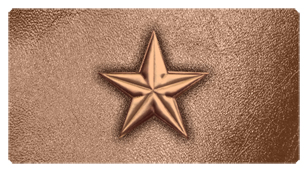 DSC700 430 BZ BZ Star Bronze Bronze